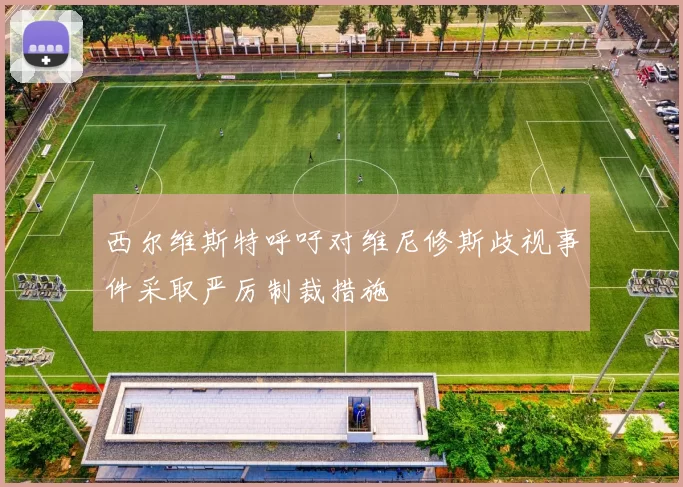 西尔维斯特呼吁对维尼修斯歧视事件采取严厉制裁措施